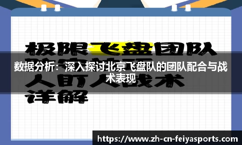 数据分析：深入探讨北京飞盘队的团队配合与战术表现